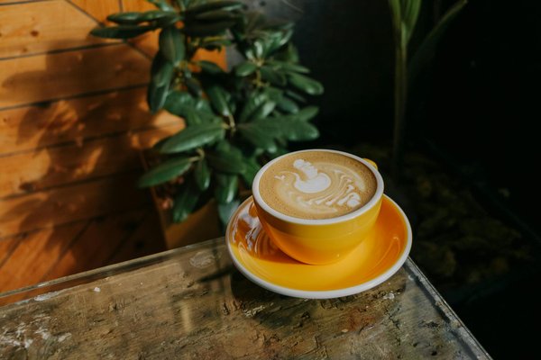 Trouvez les souliers parfaits pour éblouir lors de vos aventures touristiques